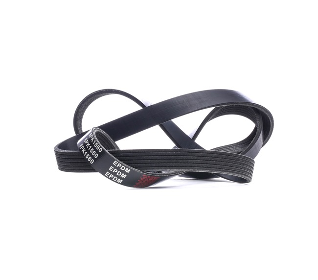 Achetez des Courroie Poly-V STARK SK-6PK1560 à prix pour 12,58 €