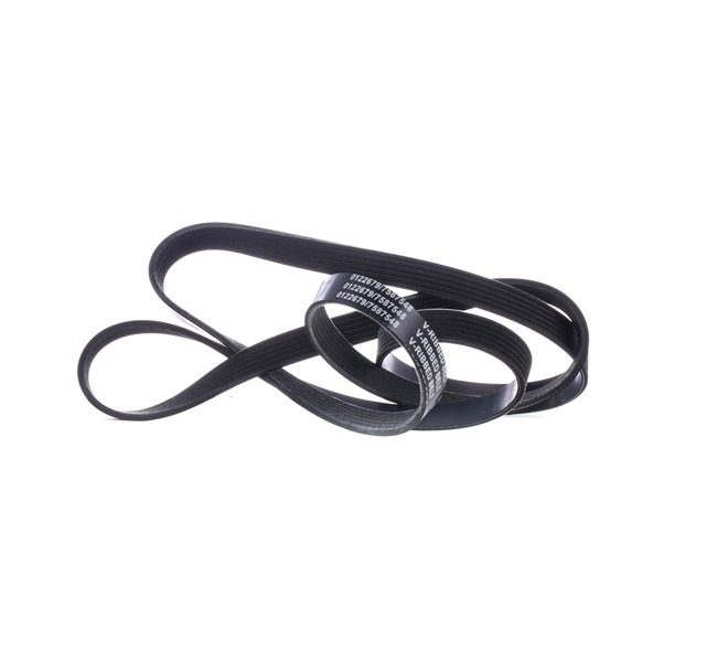 Compre Correia trapezoidal estriada da STARK SK-6PK2255 a um preço baixo por 12,04 €