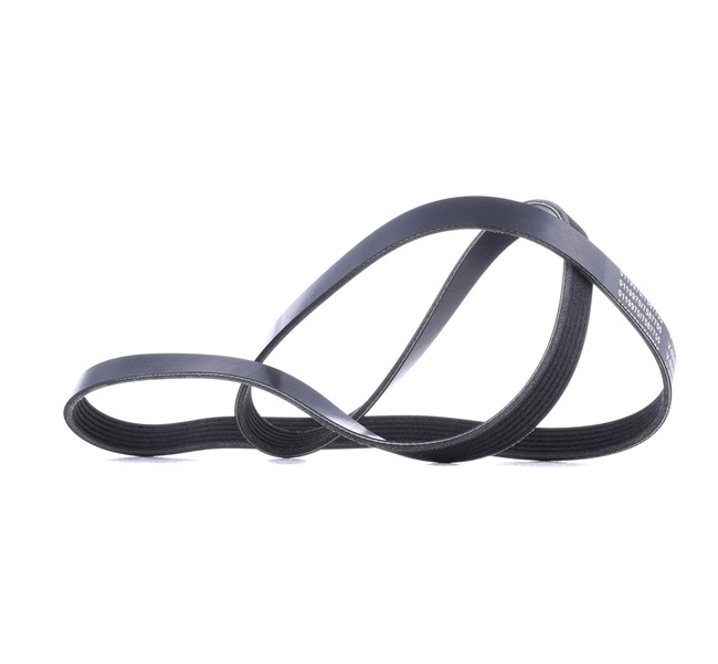 Compre Correia trapezoidal estriada da STARK SK-6PK1555 a um preço baixo por 10,80 €