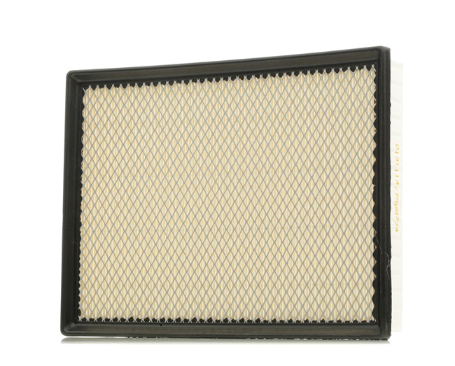 Luftfilter SKAF-0060028