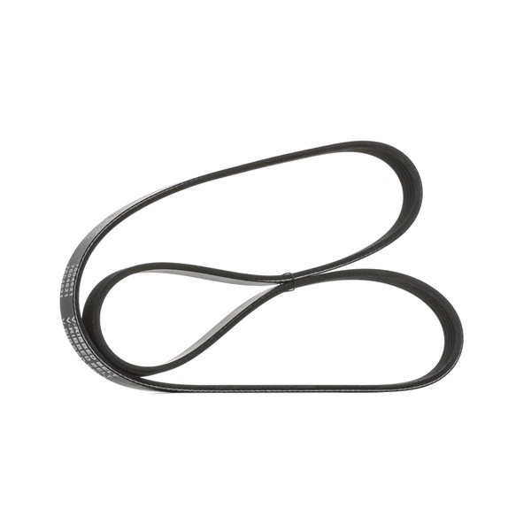 STARK SK-5PK1210 Cinghia servizi CHEVROLET CRUZE (J300)