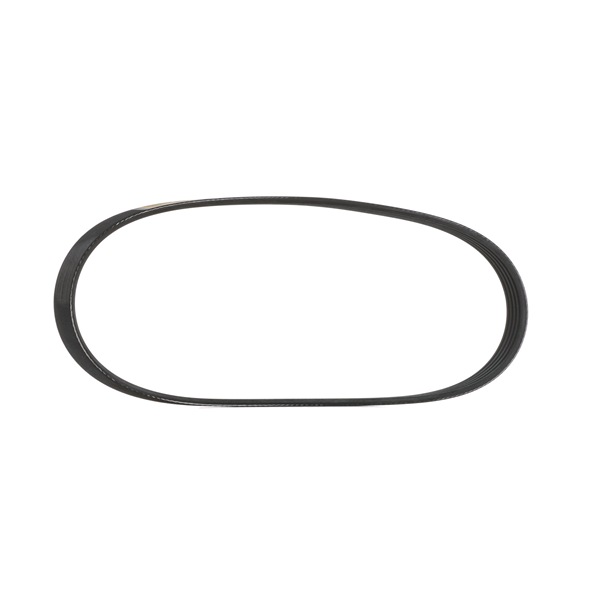 STARK SK-5PK838 Cinghia servizi SUZUKI Grand Vitara 2 SUV (JT, TE, TD)