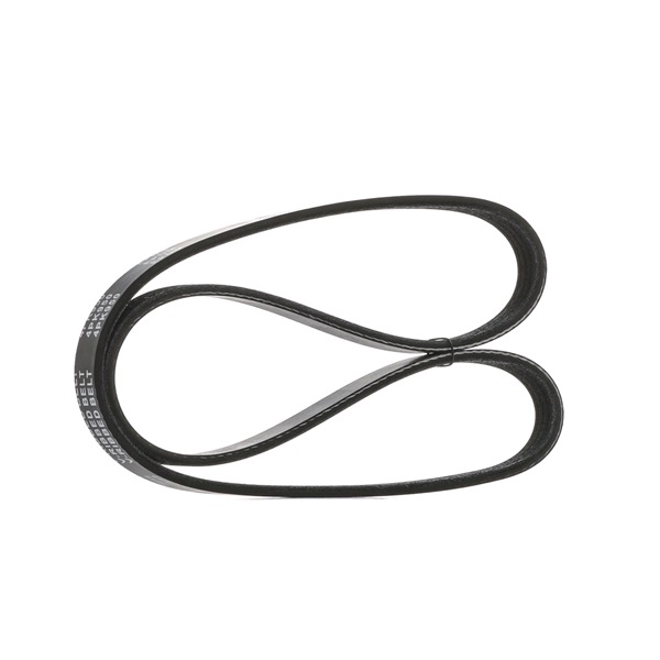 STARK SK-4PK950 Cinghia servizi SUZUKI Grand Vitara 2 SUV (JT, TE, TD)