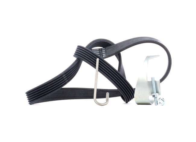 Keilrippenriemensatz 6PK1019 ELAST T2