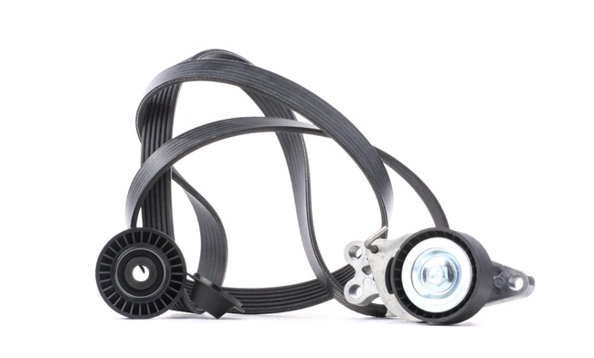 Achetez des Jeu de courroies trapézoïdales à nervures SKF VKMA 33302 à prix pour 73,49 €