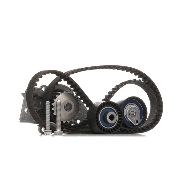 Achetez des Kit de distribution + pompe à eau SKF VKMC 03214 à prix pour 140,53 €
