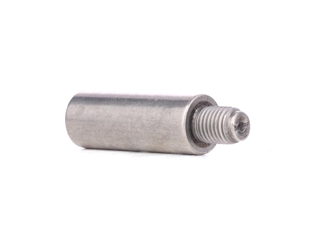 Acquista Perno pinza freno da ATE 11.8171-0096.1 a buon mercato per soli 7,98 €