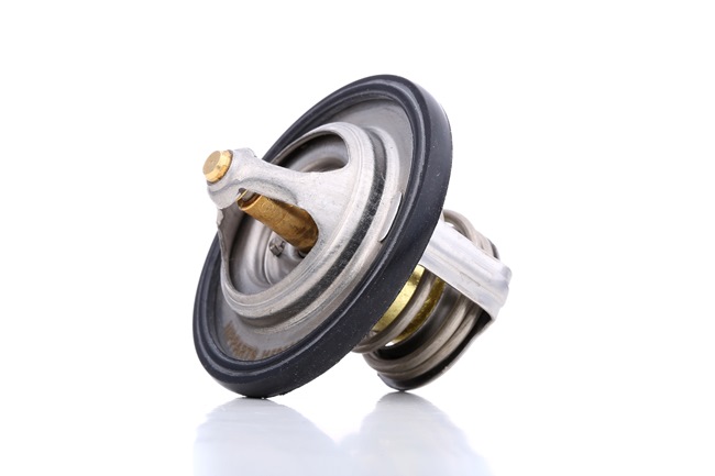Comprar Termostato, refrigerante de NIPPARTS J1538004 a bajo precio de 11,60 €