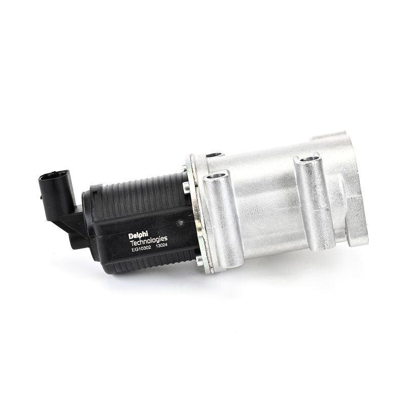 Acquista Valvola EGR da DELPHI EG10302-12B1 a buon mercato per soli 134,28 €