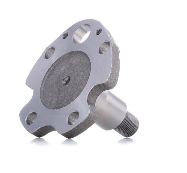 Radnabe SKWB-0180482