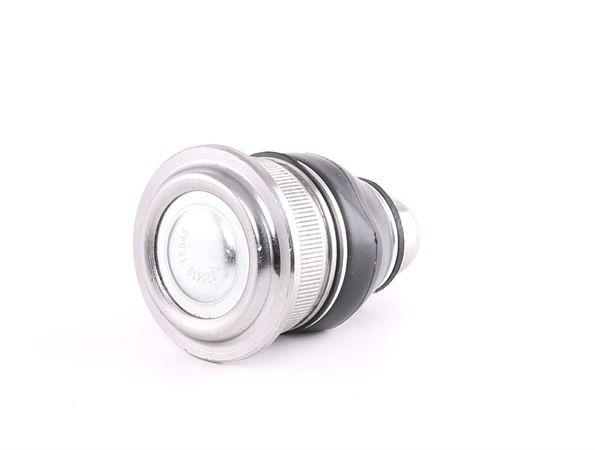 Traggelenk 220410