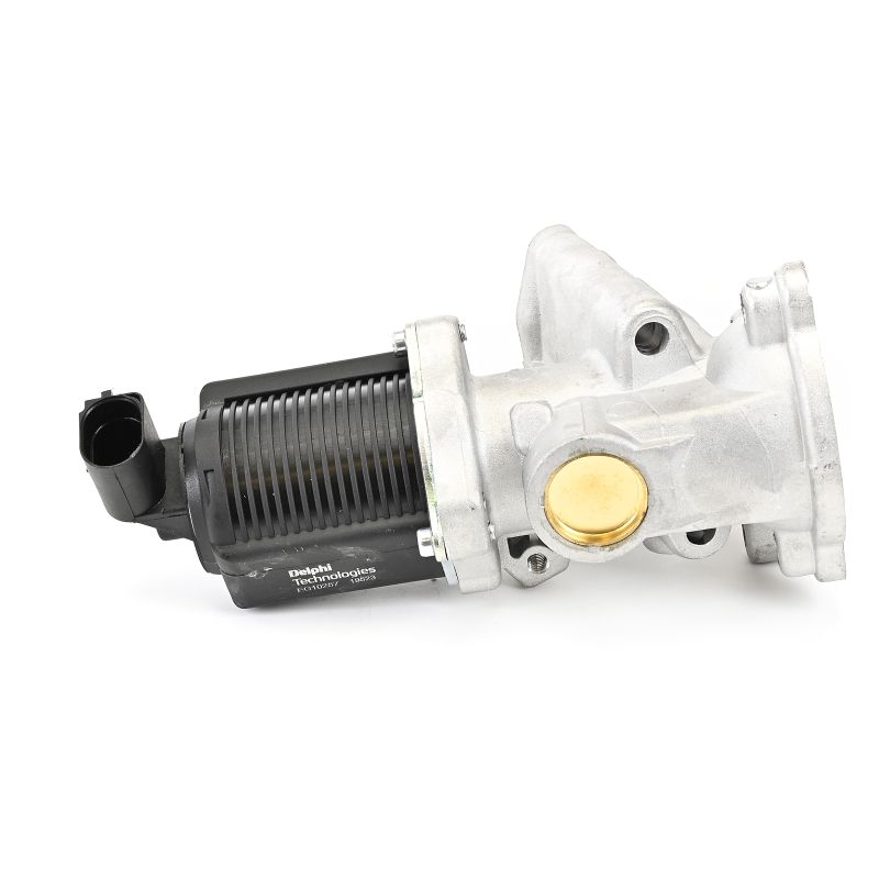Comprar Válvula EGR de DELPHI EG10257-12B1 a bajo precio de 107,26 €