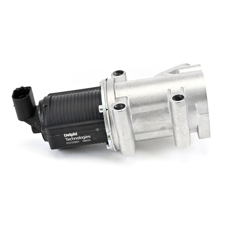 Compre DELPHI Válvula EGR Art.: EG10301-12B1 online