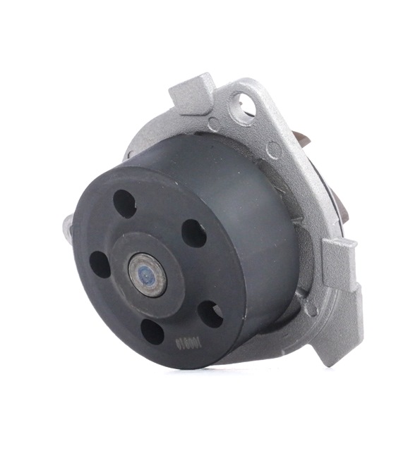 Achetez des Pompe à eau DOLZ S210 à prix pour 33,89 €