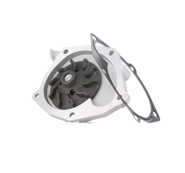 Achetez des Pompe à eau DOLZ R233 à prix pour 46,96 €