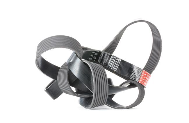 Keilrippenriemen 8PK2485