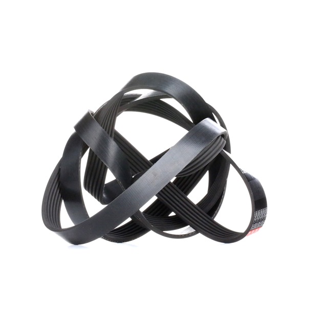 Acquista online GATES Cinghia servizi Art.: 6PK2500