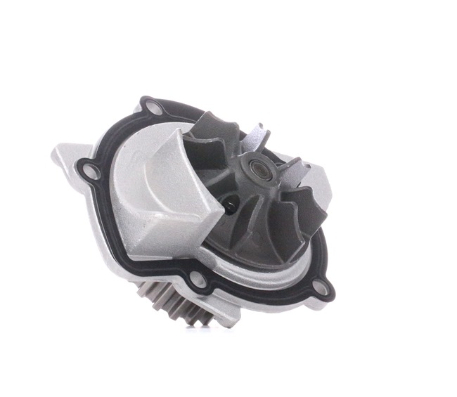 Achetez des Pompe à eau DOLZ C121 à prix pour 39,30 €