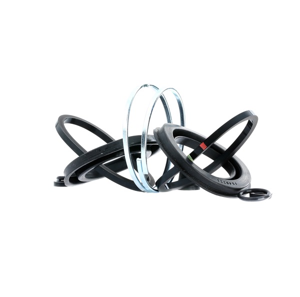 Bremssattel-Reparatursatz 242004