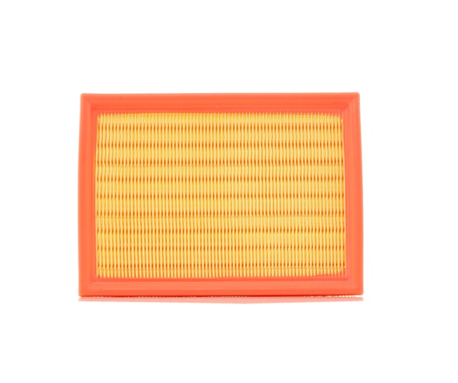Acquista online KAMOKA Filtro aria Art.: F218501
