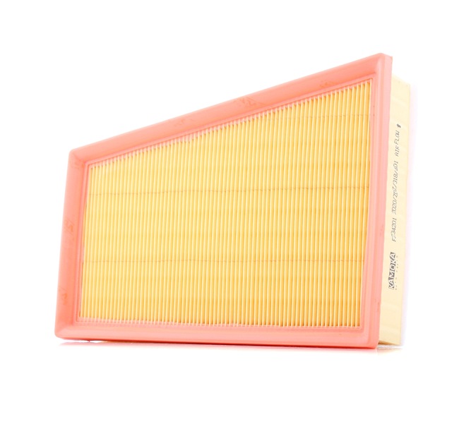 Luftfilter F234201