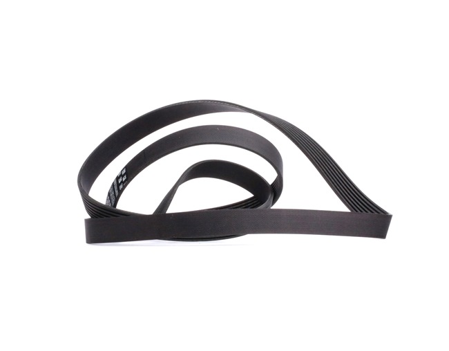 Original GATES Keilrippenriemen online kaufen
