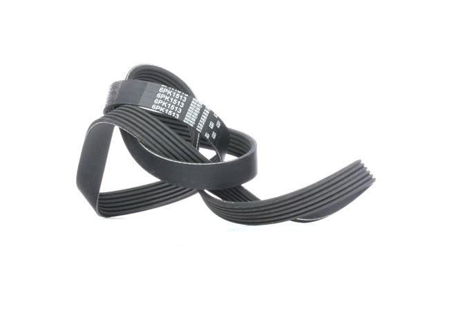 Acquista online GATES Cinghia servizi Art.: 6PK1513