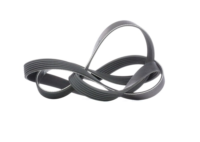 Original GATES Keilrippenriemen online kaufen
