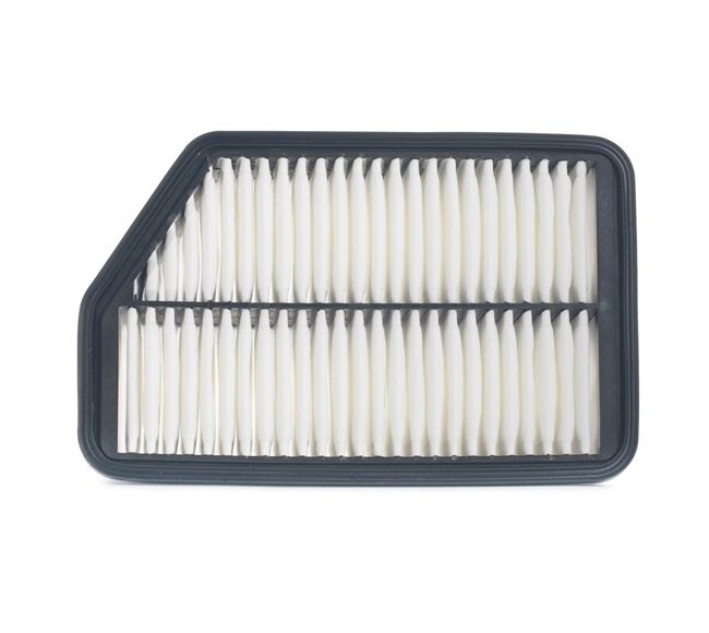 Online Shop für Luftfilter von PURFLUX EAN: 3286062014521