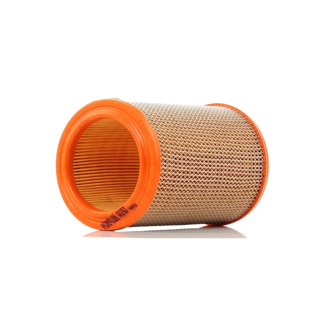 Compre PURFLUX Filtro de ar Art.: A197 online