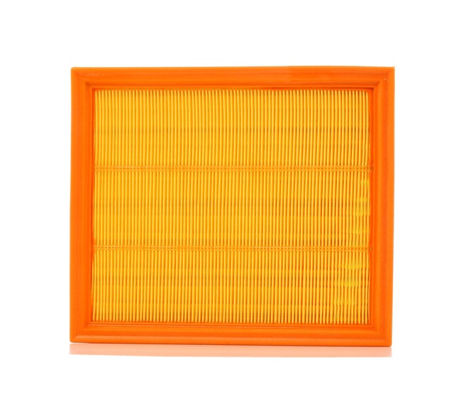 Compre PURFLUX Filtro de ar Art.: A211 online