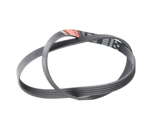 Compre Correia trapezoidal estriada da GATES 5PK1030 a um preço baixo por 10,93 €