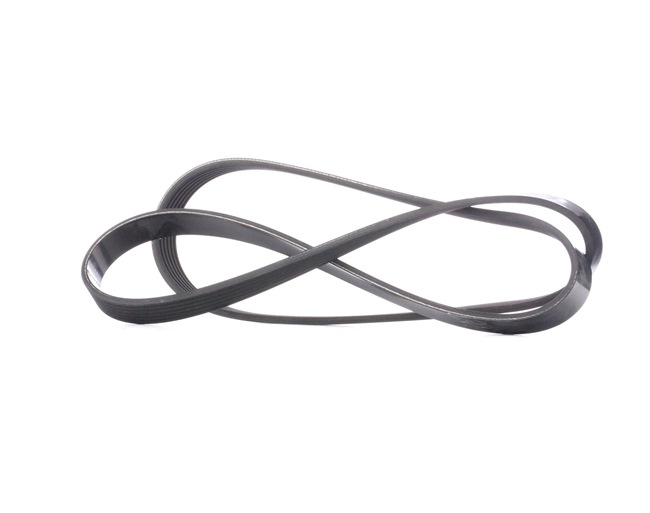 Acquista online DAYCO Cinghia servizi Art.: 6PK1381