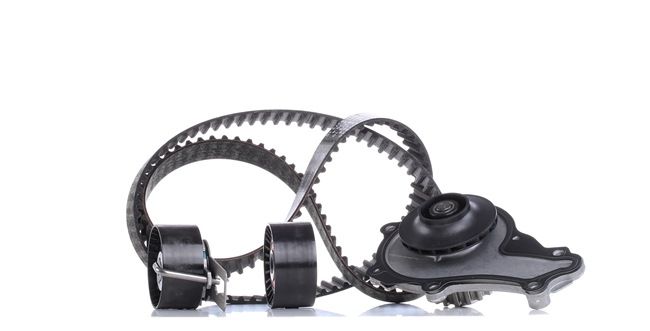 Achetez des Kit de distribution + pompe à eau INA 530 0612 30 à prix pour 128,59 €