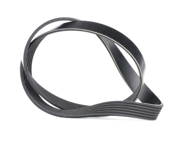 Acquista online CONTITECH Cinghia servizi Art.: 6PK1020 EXTRA