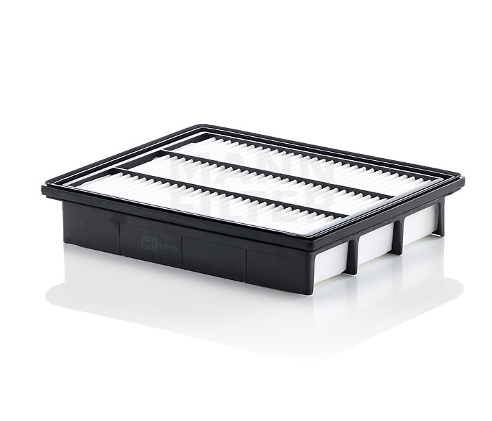 Luftfilter C 30 024