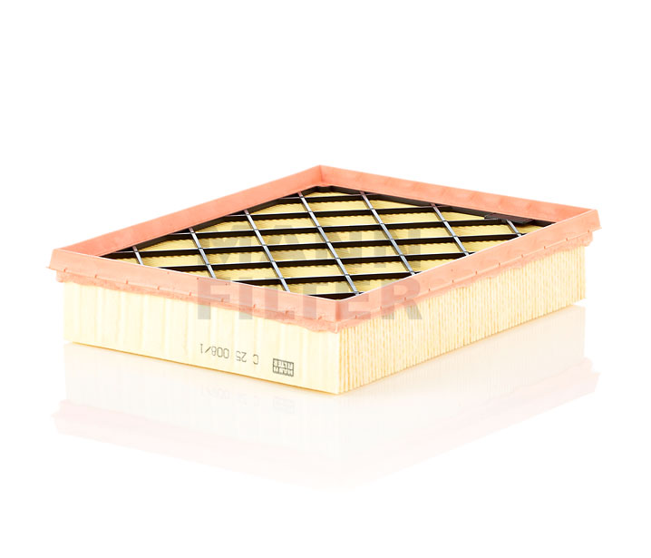 Köp Luftfilter av MANN-FILTER C 25 008/1 till det låga priset 229,51 kr