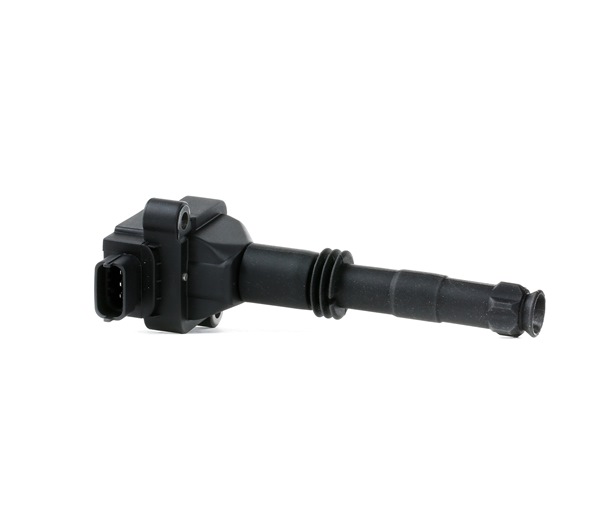 Osta Sytytyspuola DELPHI:llä GN10504-12B1 edullisesti hintaan 34,97 €