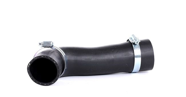 Online Shop für Ladeluftschlauch von BUGIAD EAN: 4043193846020