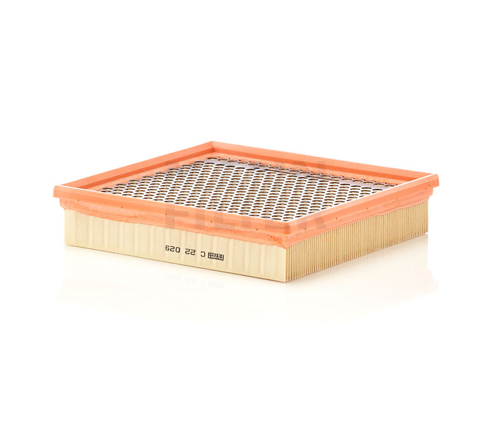 Compre MANN-FILTER Filtro de aire Art.: C 22 029 online