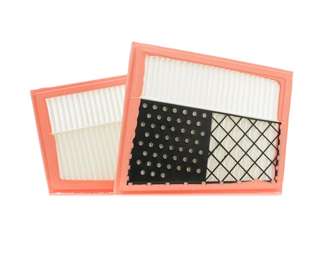 Luftfilter SKAF-0060098
