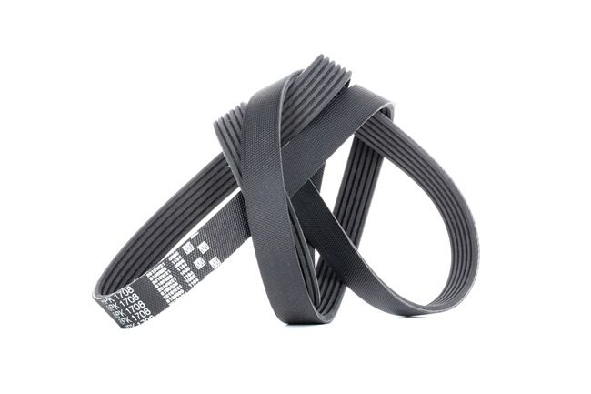 Acquista online GATES Cinghia servizi Art.: 6PK1708