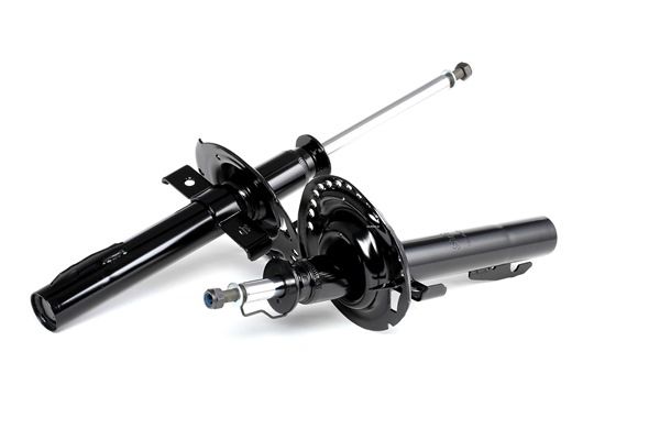 Stoßdämpfer SKSA-0132169