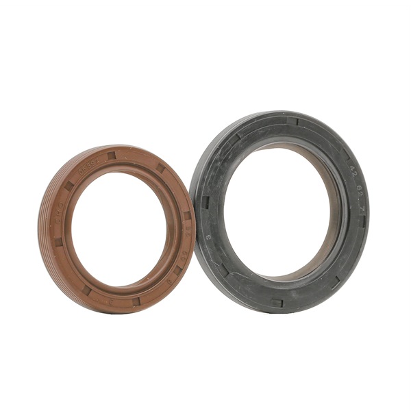 Acquista Kit paraolio, Motore da PAYEN HL5010 a buon mercato per soli 20,31 €