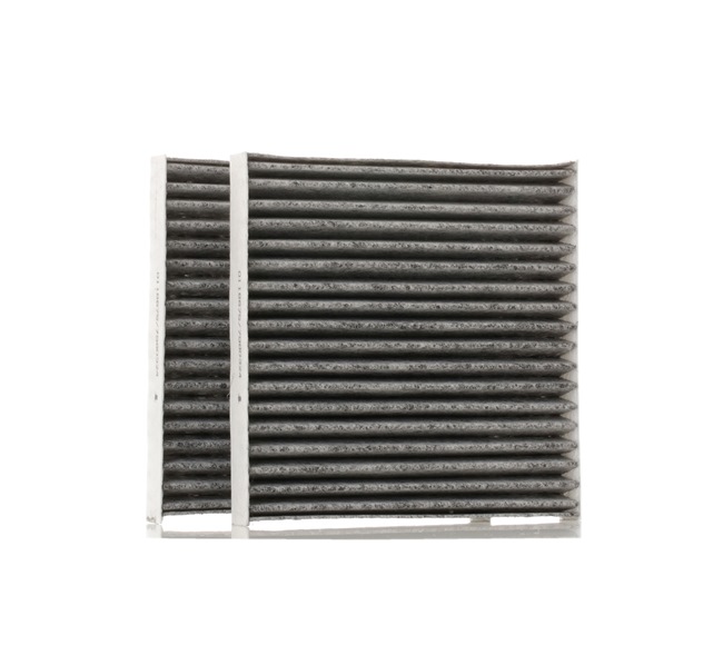 Innenraumfilter SKIF-0170318