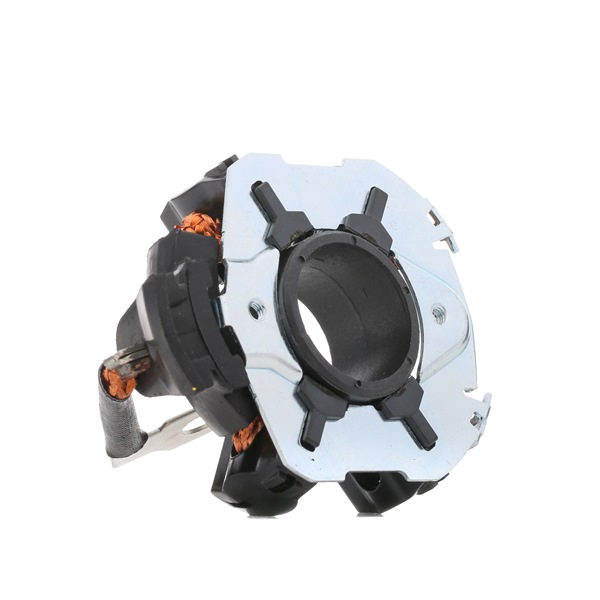 Halter, Kohlebürsten 232039 VOLKSWAGEN CC von ERA