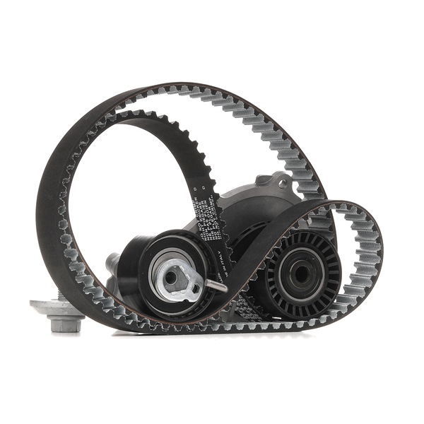 Achetez des Kit de distribution + pompe à eau INA 530 0611 30 à prix pour 139,14 €