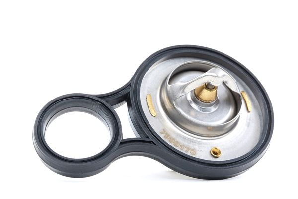 Achetez des Thermostat d'eau STARK SKTC-0560074 à prix pour 7,69 €