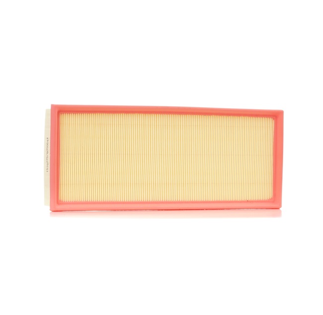 Acquista online RIDEX Filtro aria Art.: 8A0013