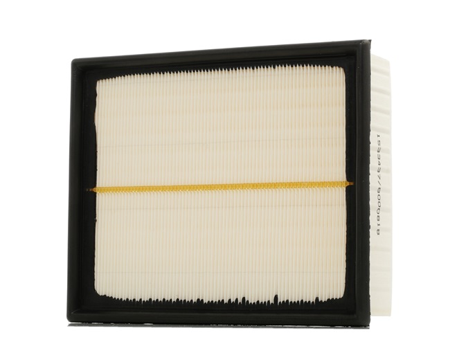 Compre Filtro de ar da RIDEX 8A0039 a um preço baixo por 10,13 €